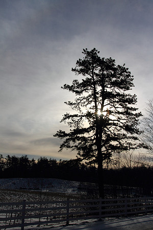 tmg_2010-02-11