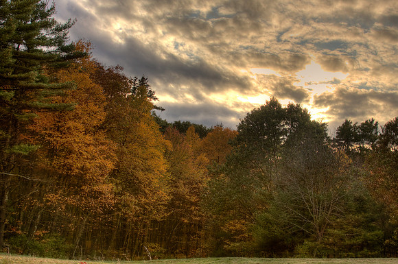 The colors of fall