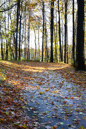 Fall path