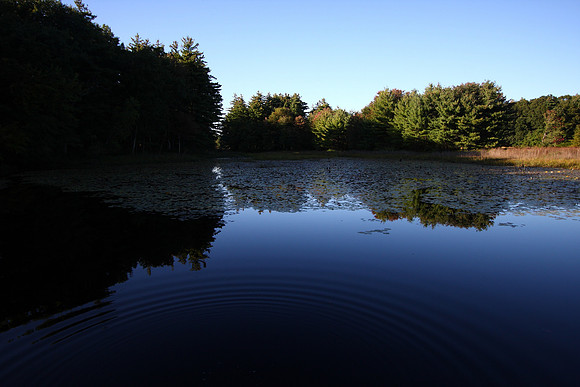 Peaceful