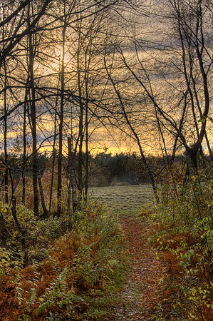 The path