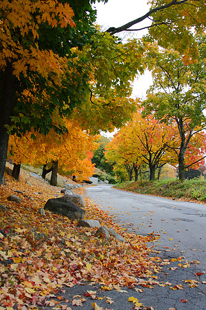 Fluorescent road