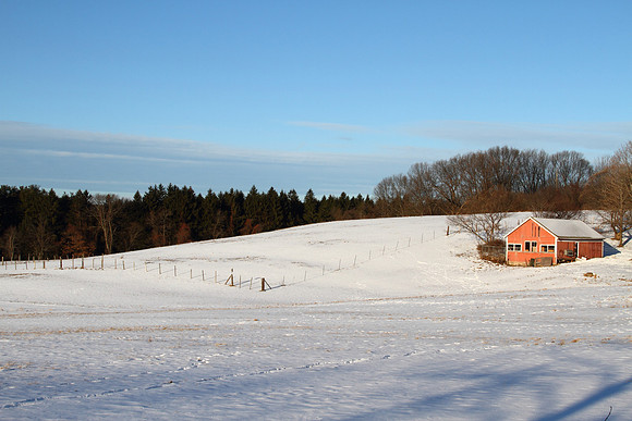 tmg_2010-01-13