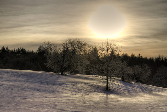 tmg_2010-01-22