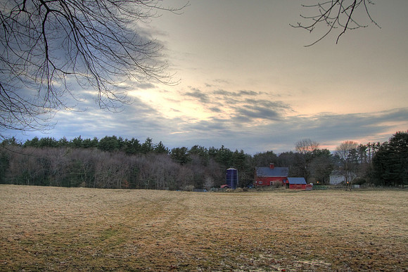 tmg_2010-03-12